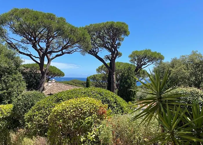 Villa Les Chenes - Golf De Saint-tropez Experience Port Grimaud